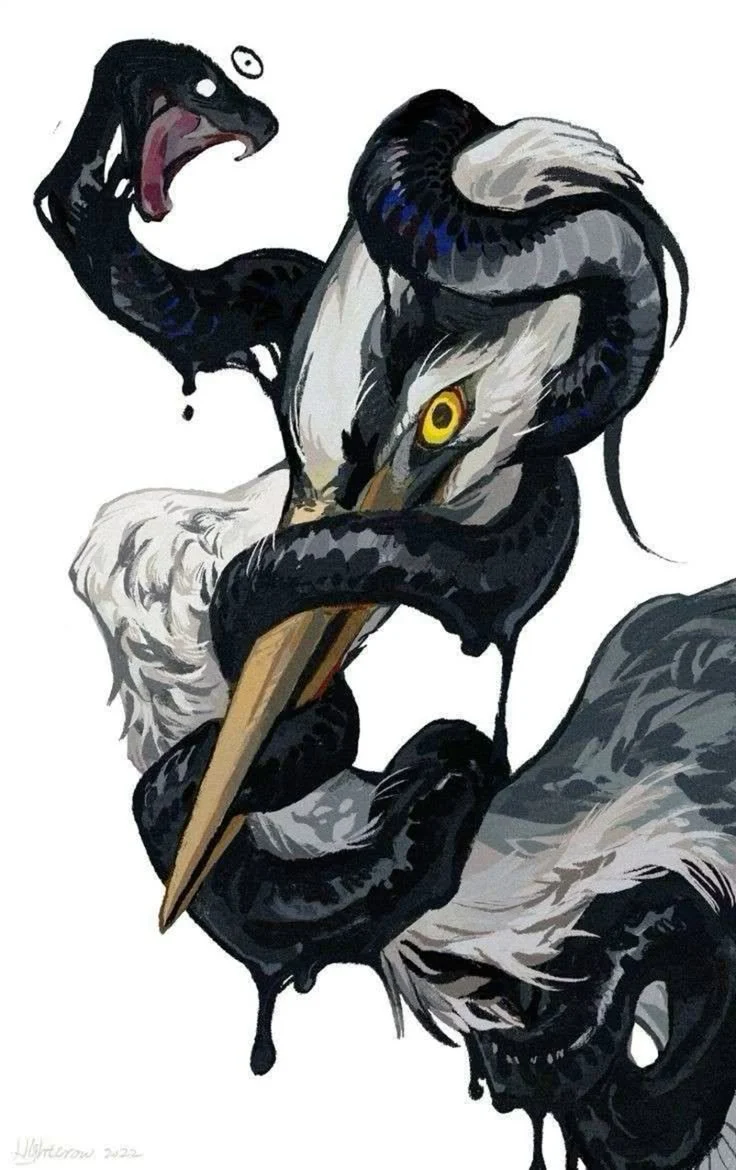Héron et serpent