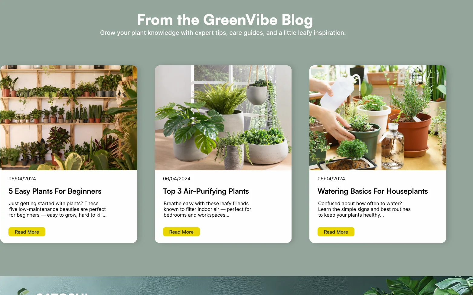 Le blog GreenVibe, trois articles en cartes.