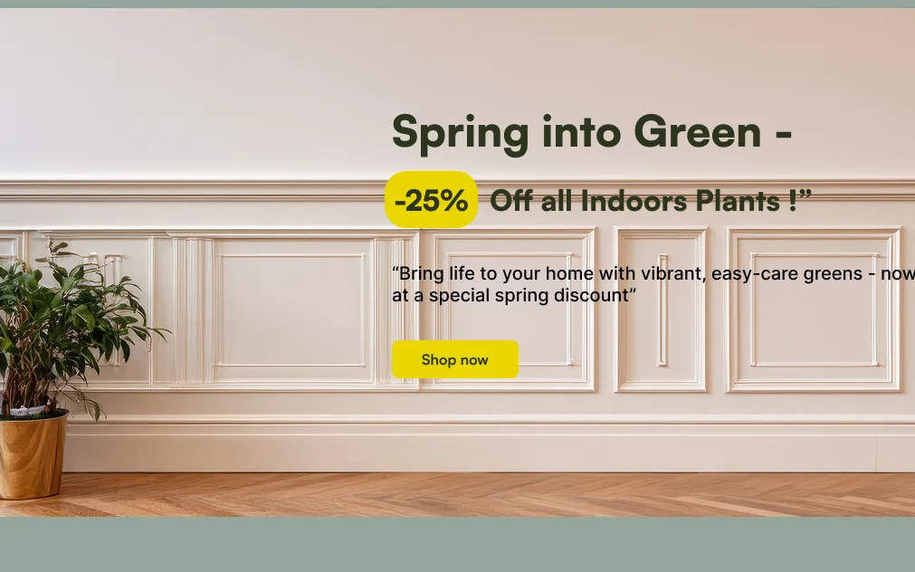 Le bandeau promo de printemps.