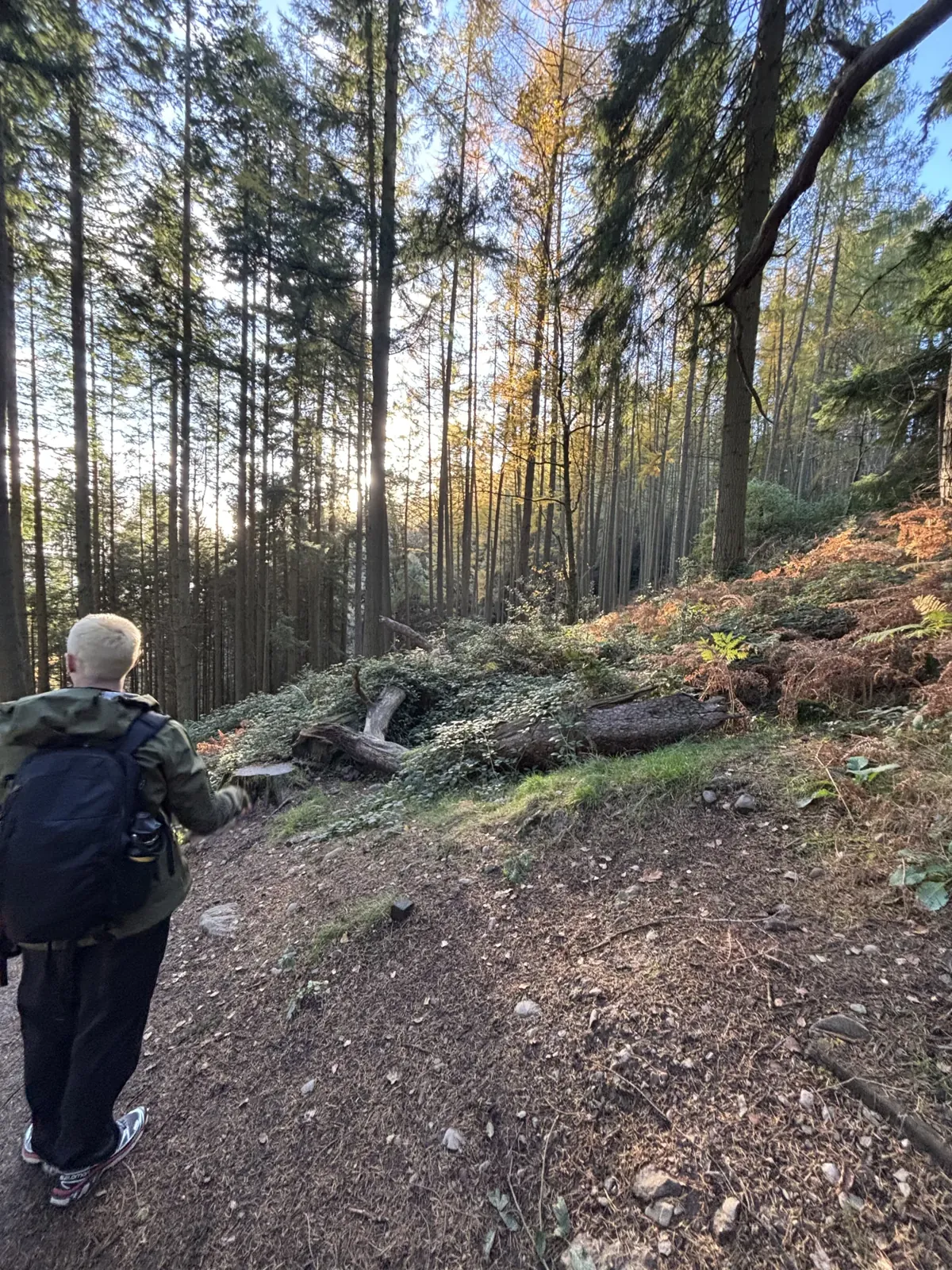 Dans la forêt au-dessus du Loch Lomond, avant de grimper.
