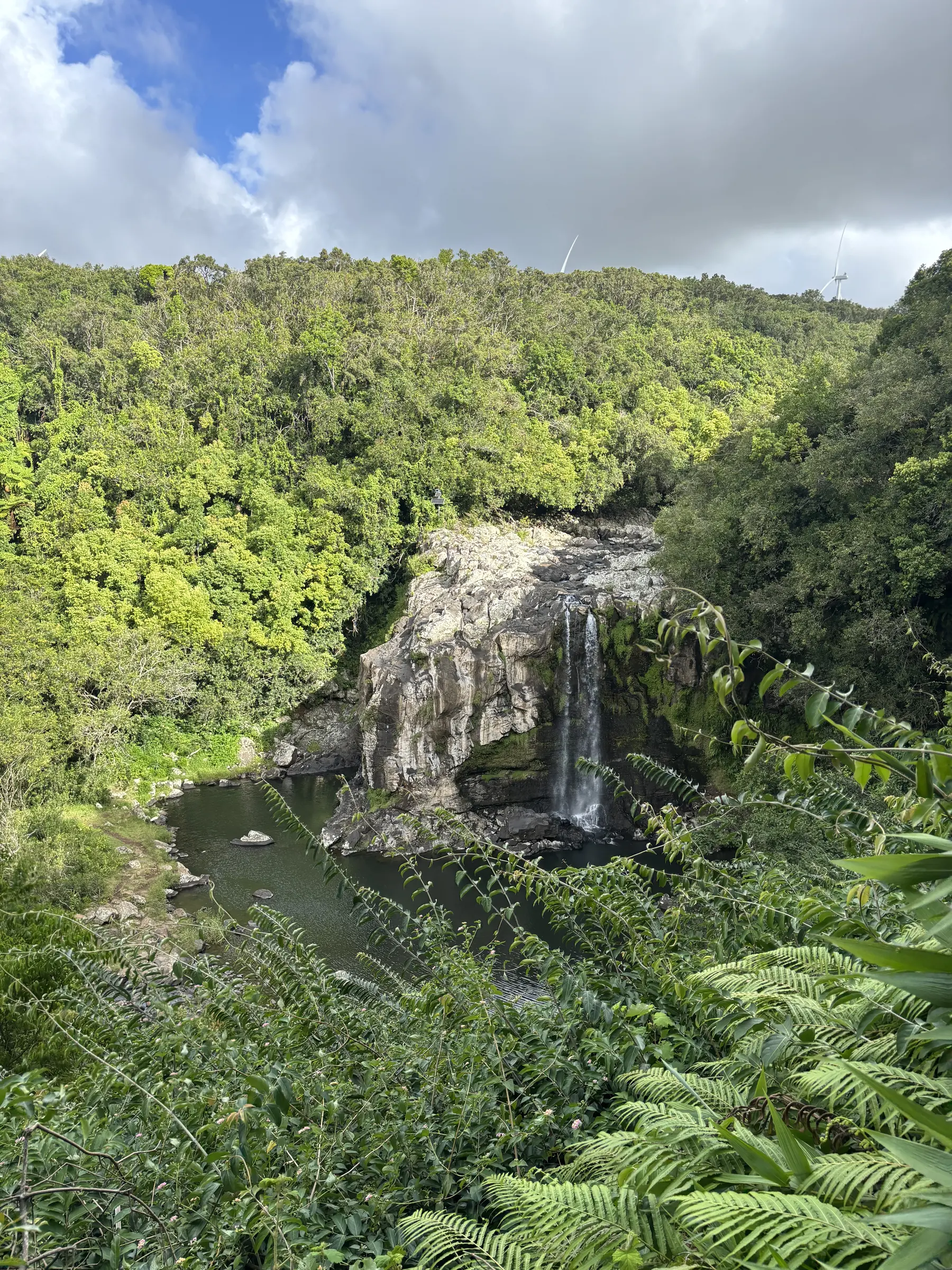 Une cascade dans les hauts, au bout d'un sentier qui descend dans la forêt.