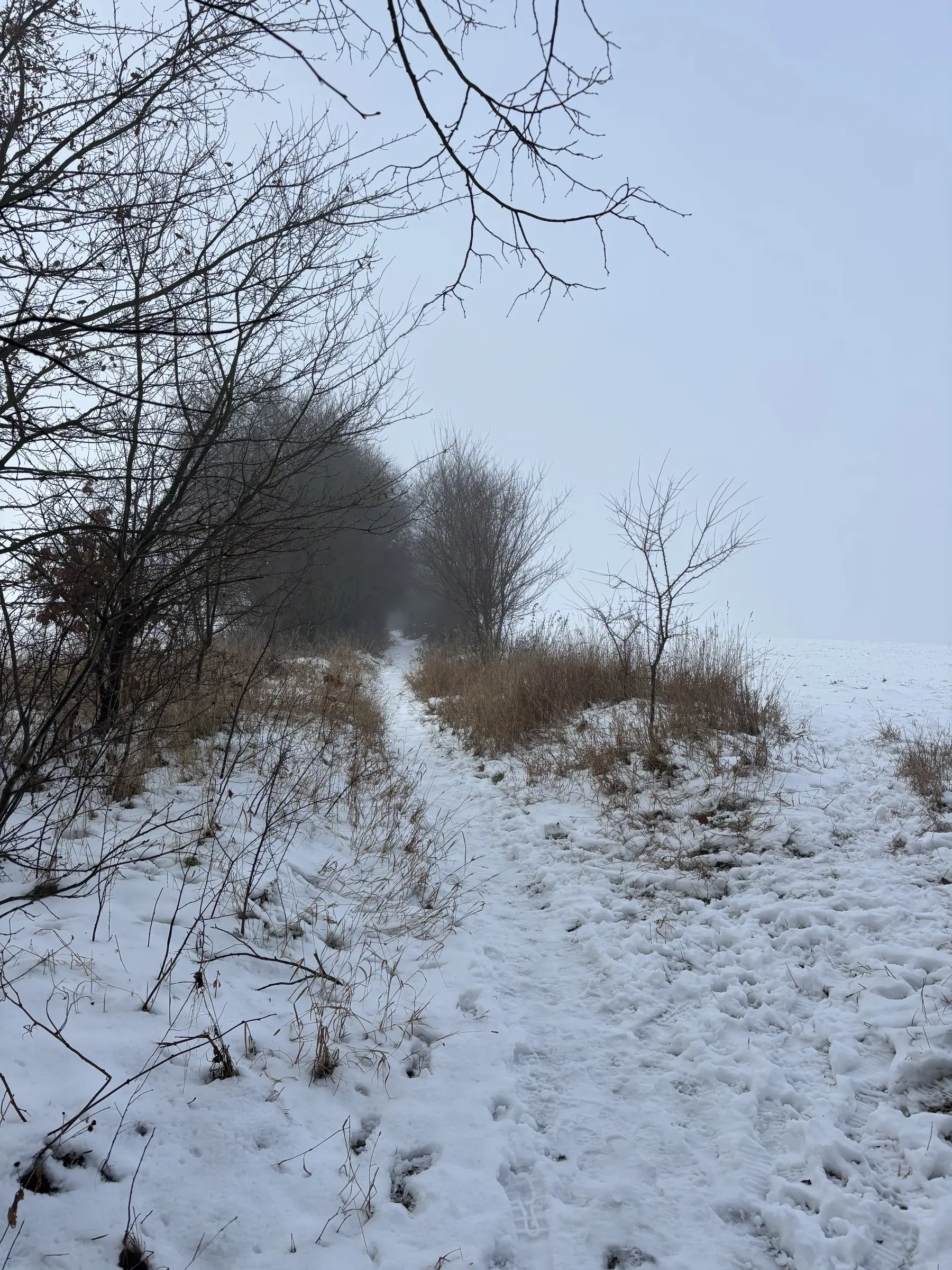 La brume qui ne se lève pas de la journée.